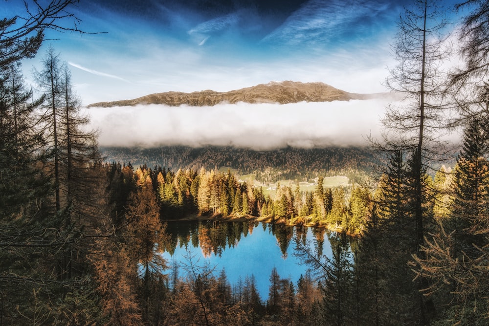 mountains surrounded by trees during daytime