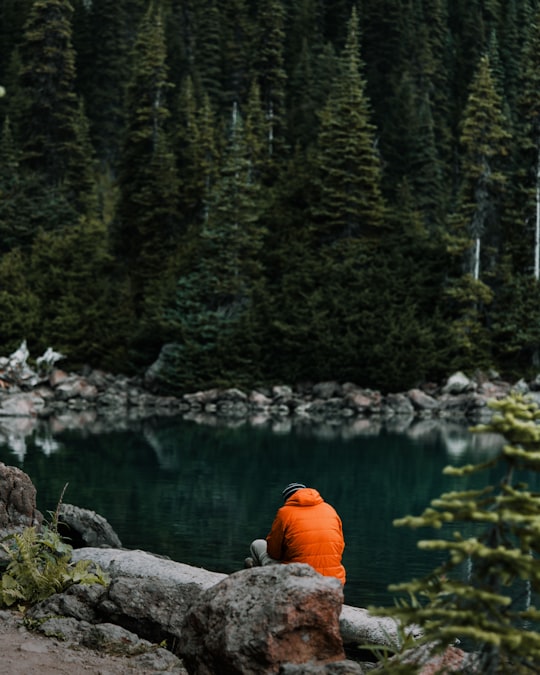 man sitting in front of body of water in Garibaldi Lake Canada