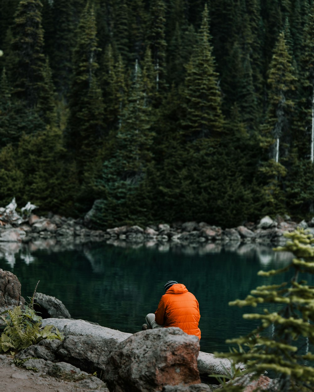 man sitting in front of body of water