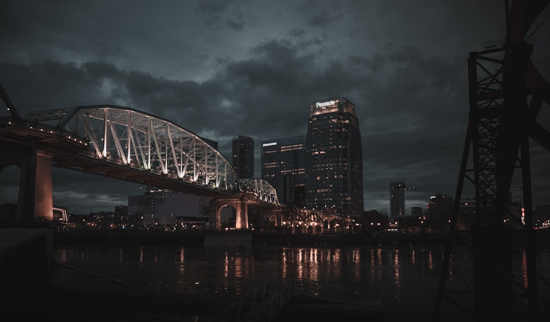 white and black bridge near high rise building at nighttime,