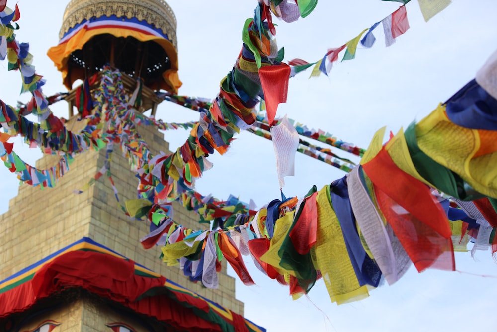 closeup photo of buntings