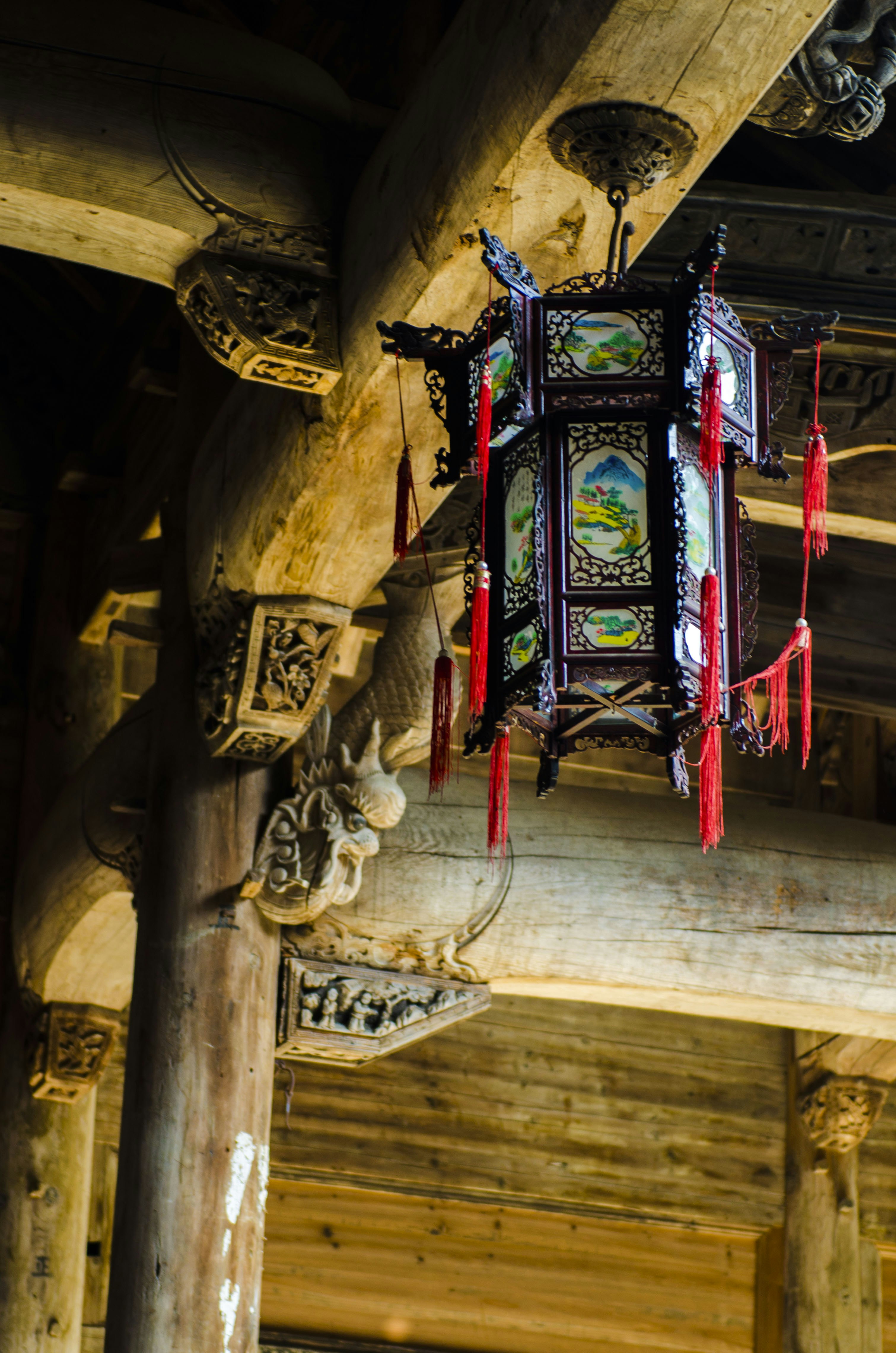 Photo by tonyzhu77