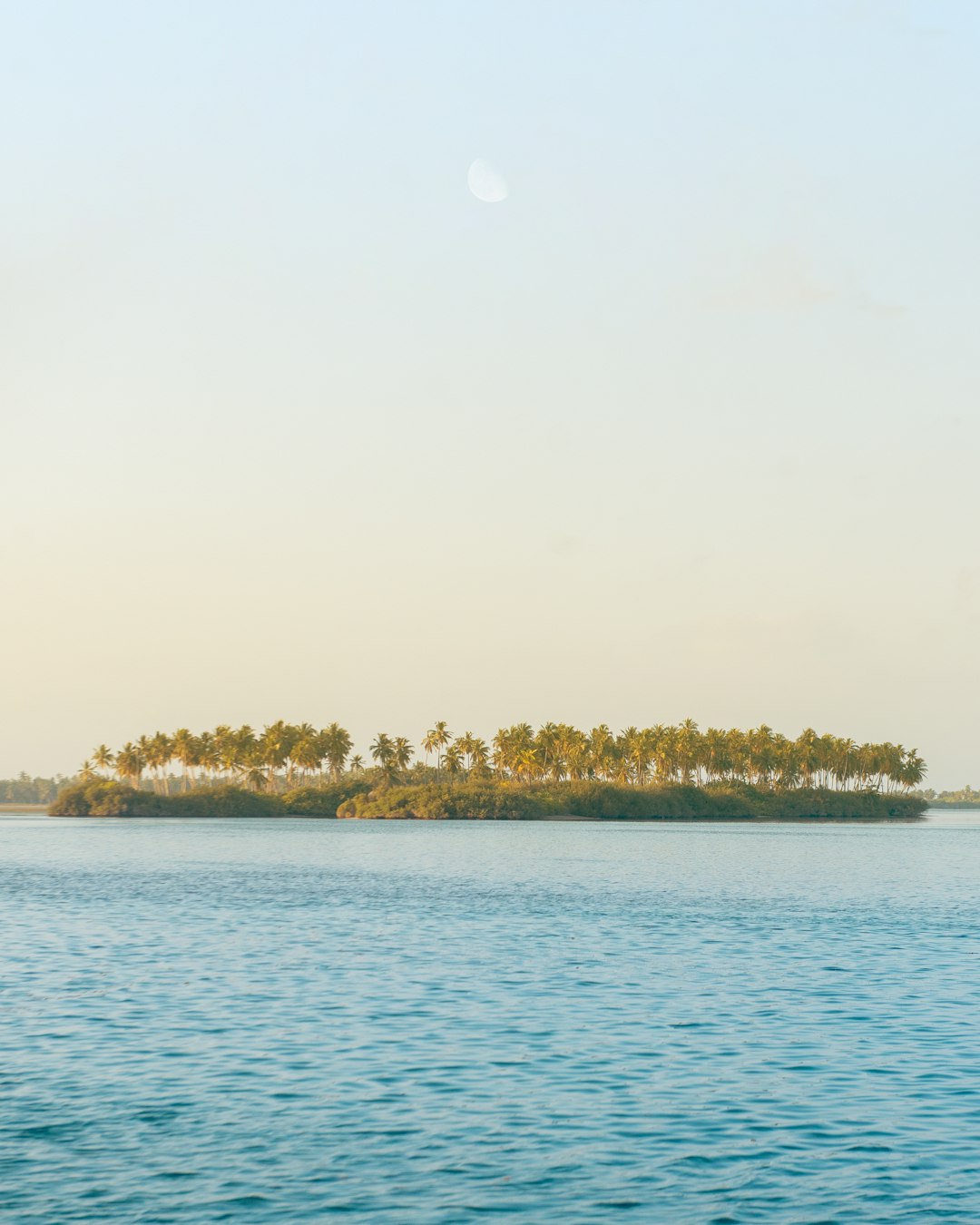 landscape photography of trees near body of water