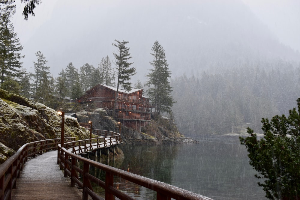 brown wooden lake pathway