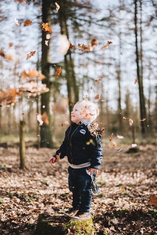 shallow focus photography of children standing on brown dried leaf in Loenen Netherlands