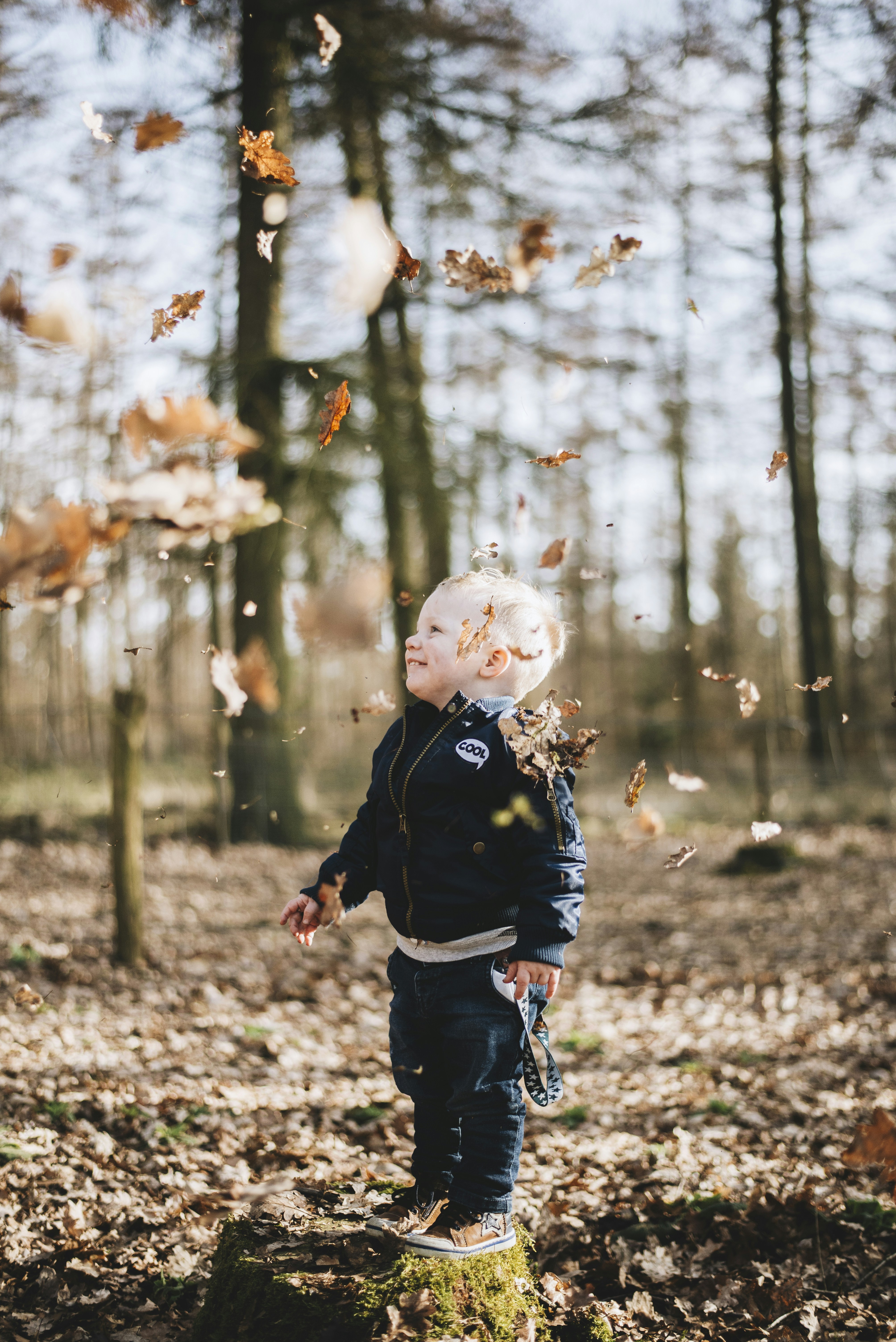 great photo recipe,how to photograph playing in the forest; shallow focus photography of children standing on brown dried leaf