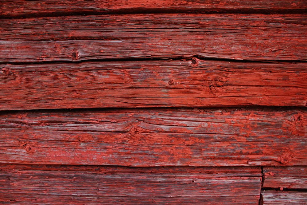 Red Wood Pictures | Download Free Images on Unsplash