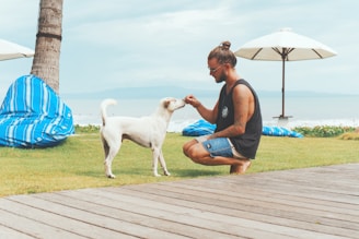man feeding white dog