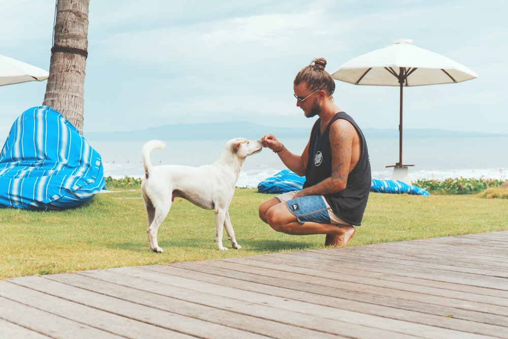 man feeding white dog
