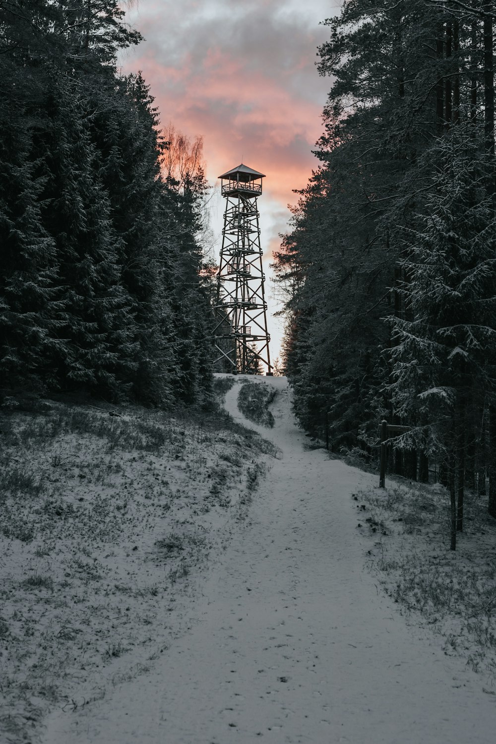 tower between trees
