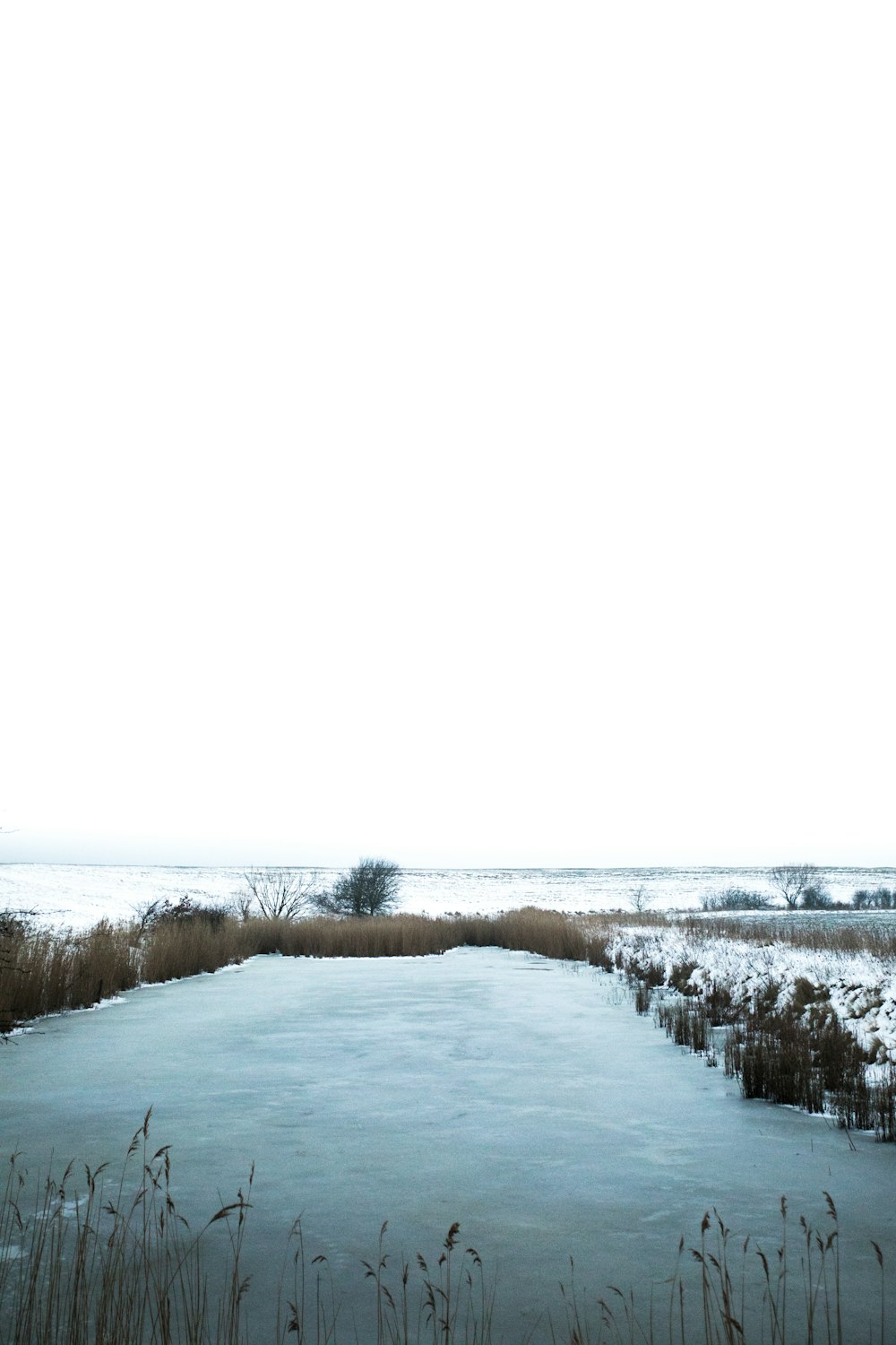 Photo de plan d’eau calme