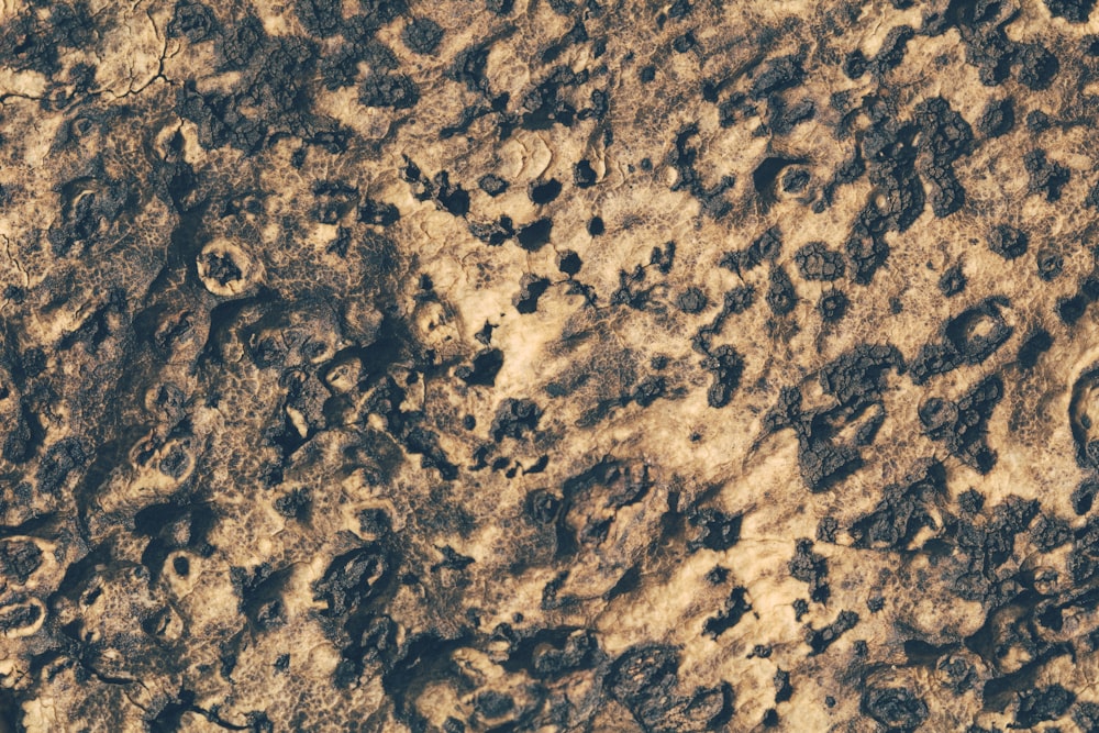 a close up of a rock surface with dirt and rocks