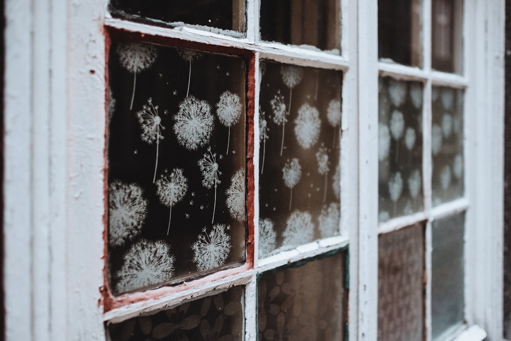 janela fechada do painel de vidro com moldura branca