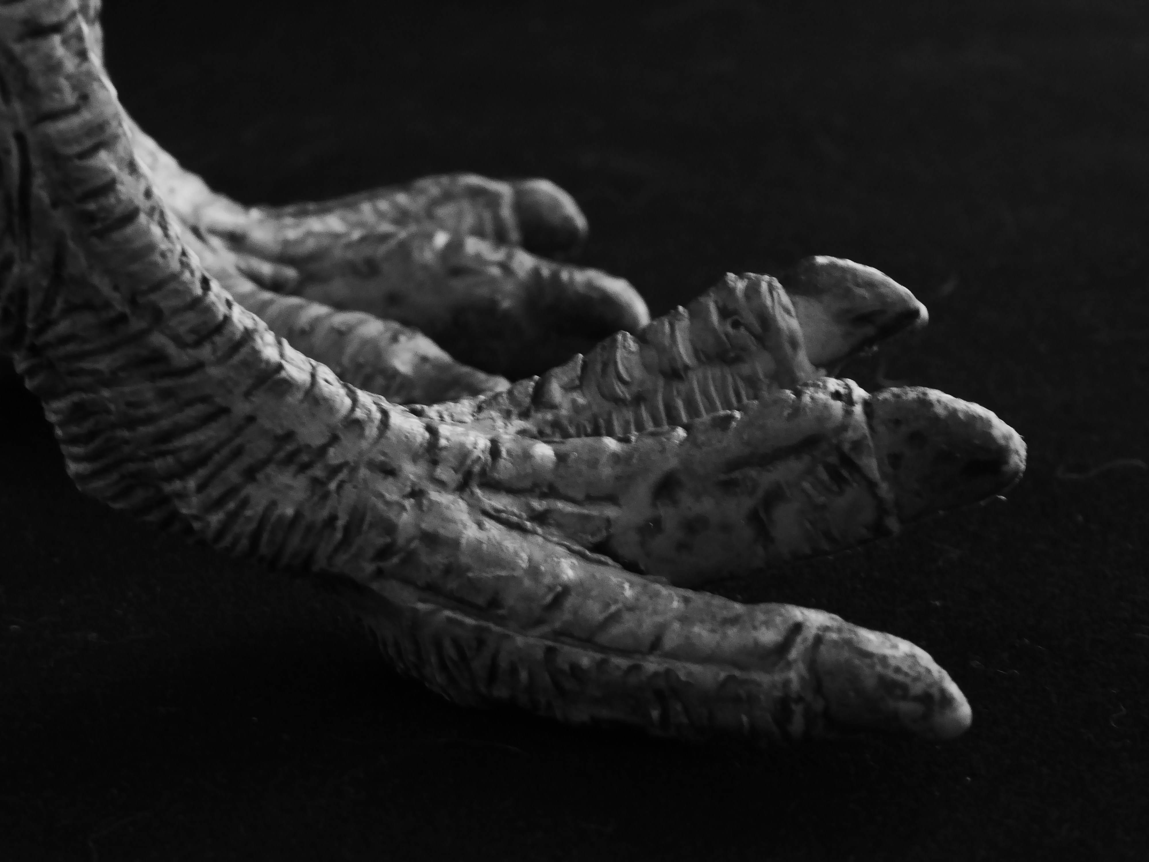 كيف يساهم OpenClaw في حفظ الألعاب القديمة