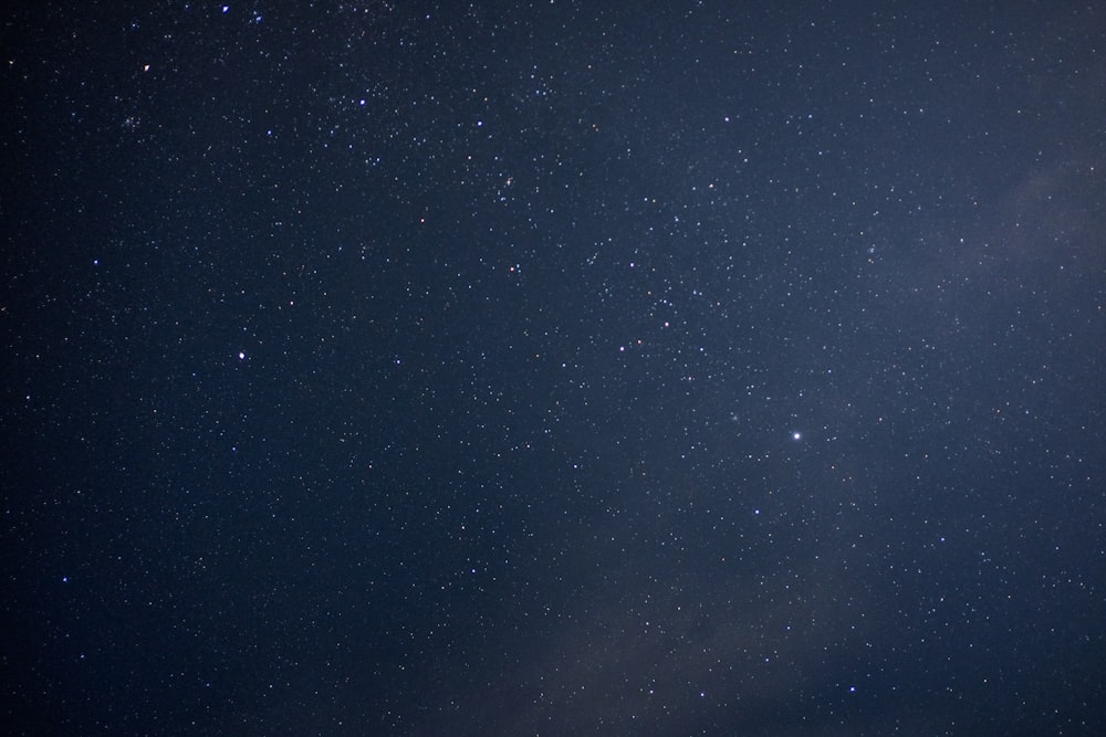 worm's eye view photography of night sky