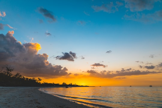 seashore under blue skies in Fort Myers United States