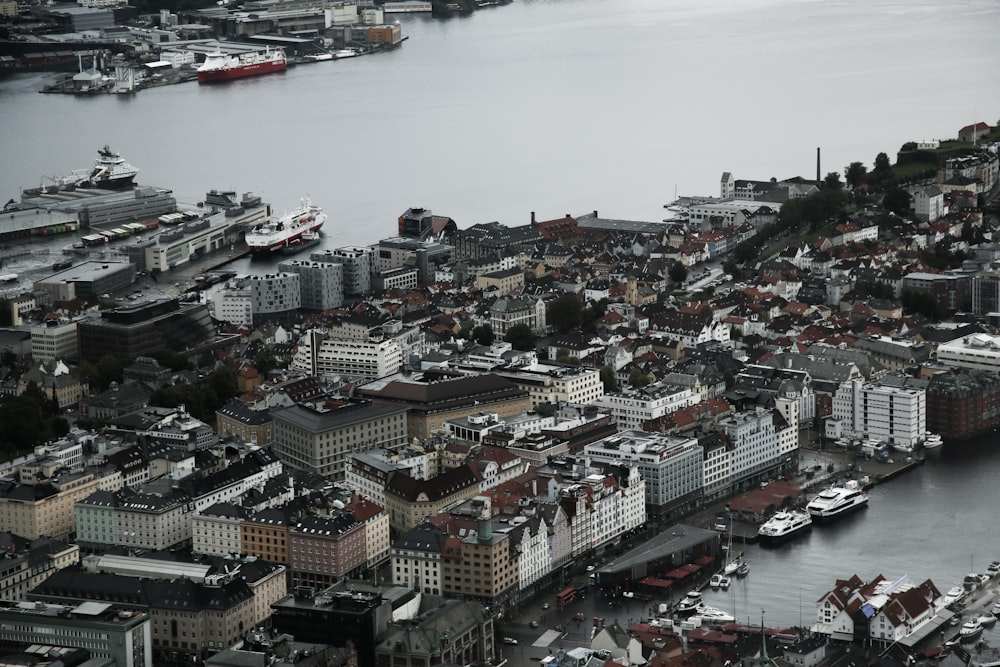 Fotografia aerea di edifici urbani circondati dall'acqua