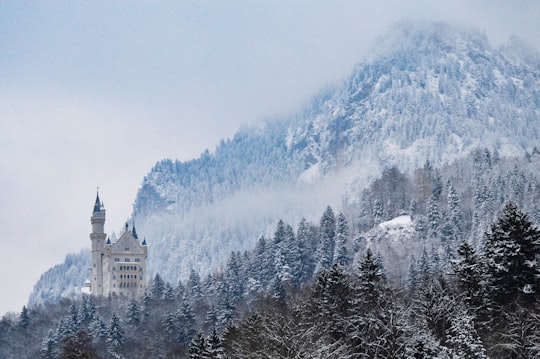 gray castle in the middle of forest in Neuschwanstein Castle Germany