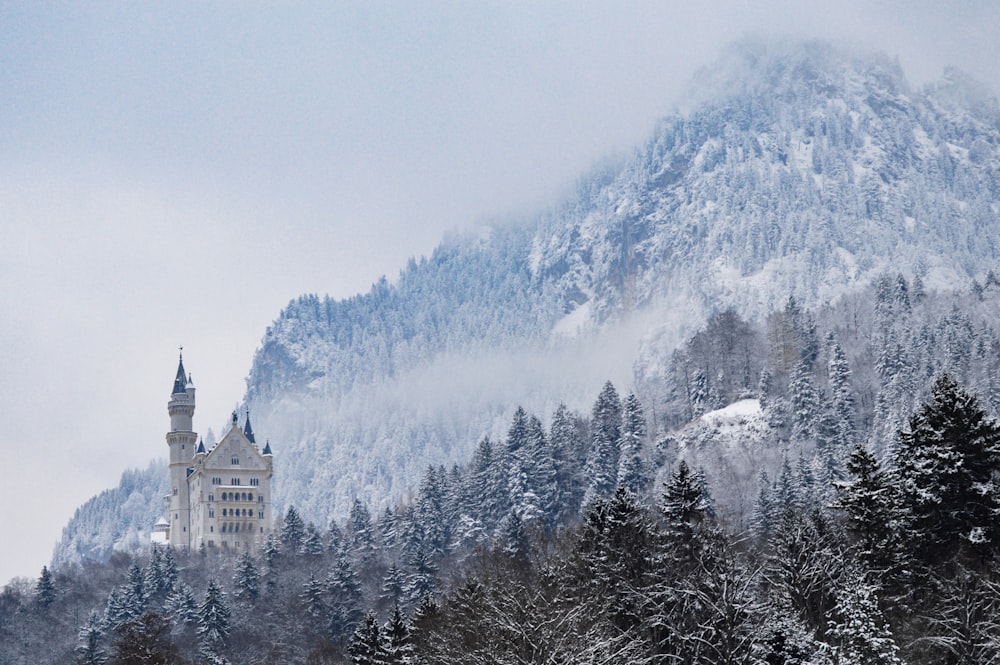 gray castle in the middle of forest