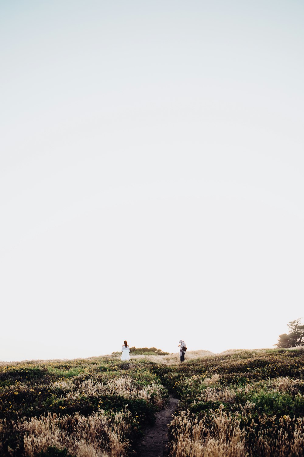 man taking photo of woman standing on grasses