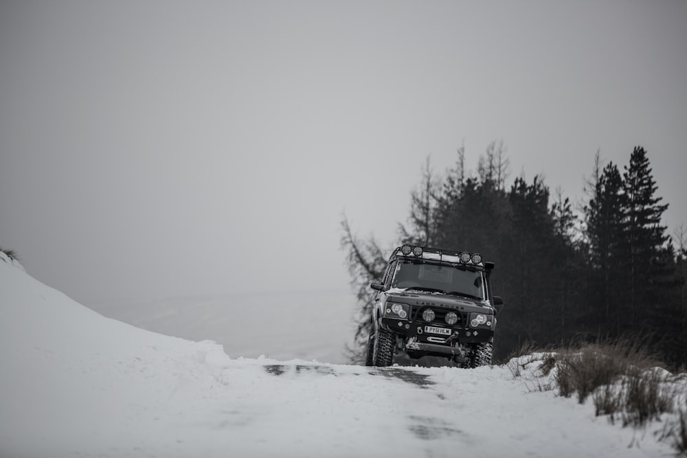 black vehicle on roadway near green leaf trees