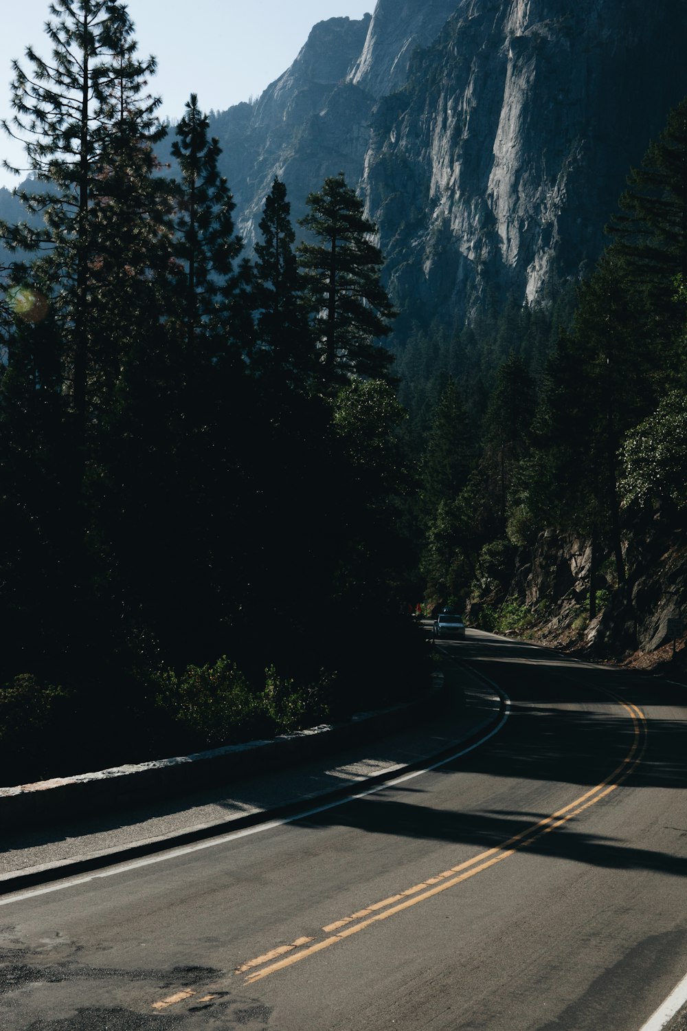 mountain pass with trees