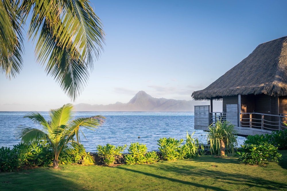 a hut with a thatched roof overlooks the ocean