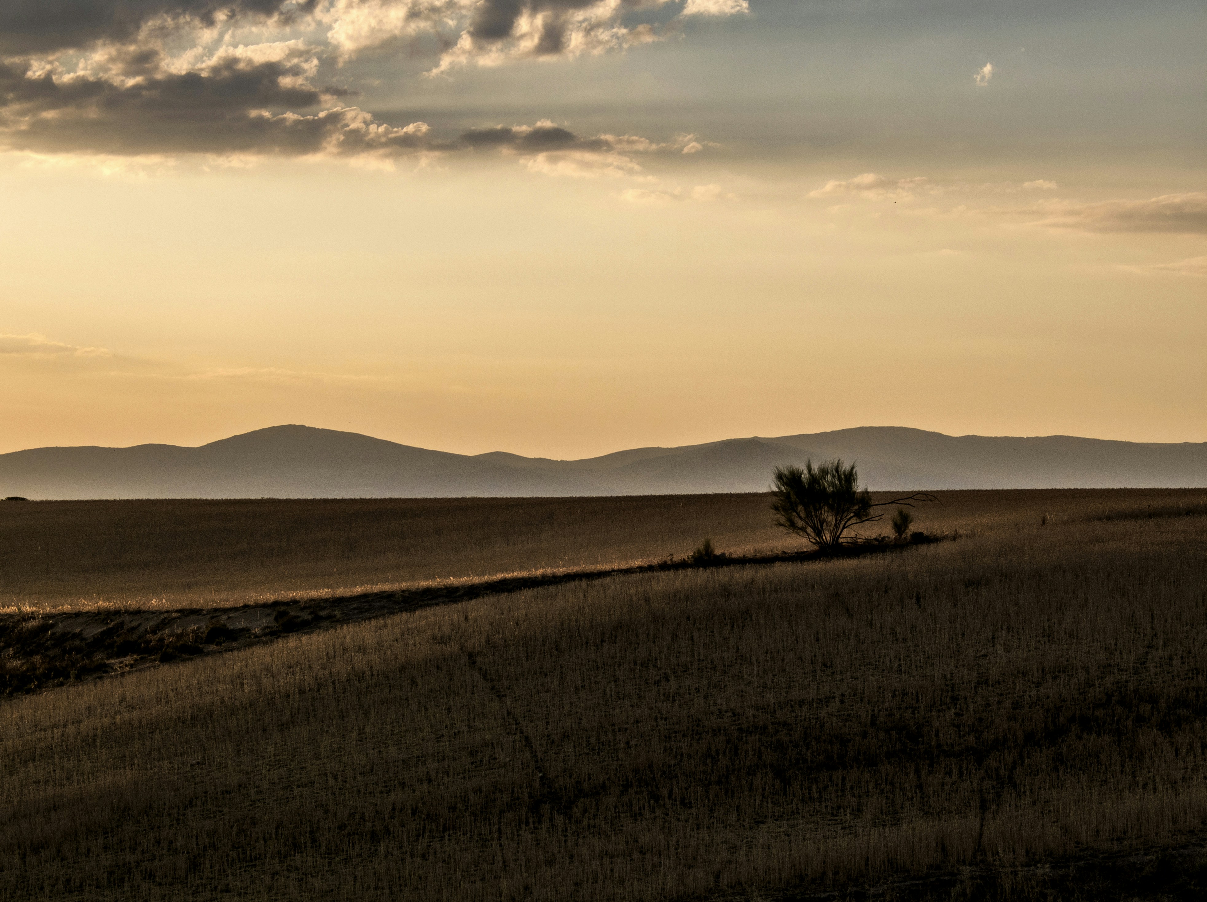 Photo by guillermoalvarez