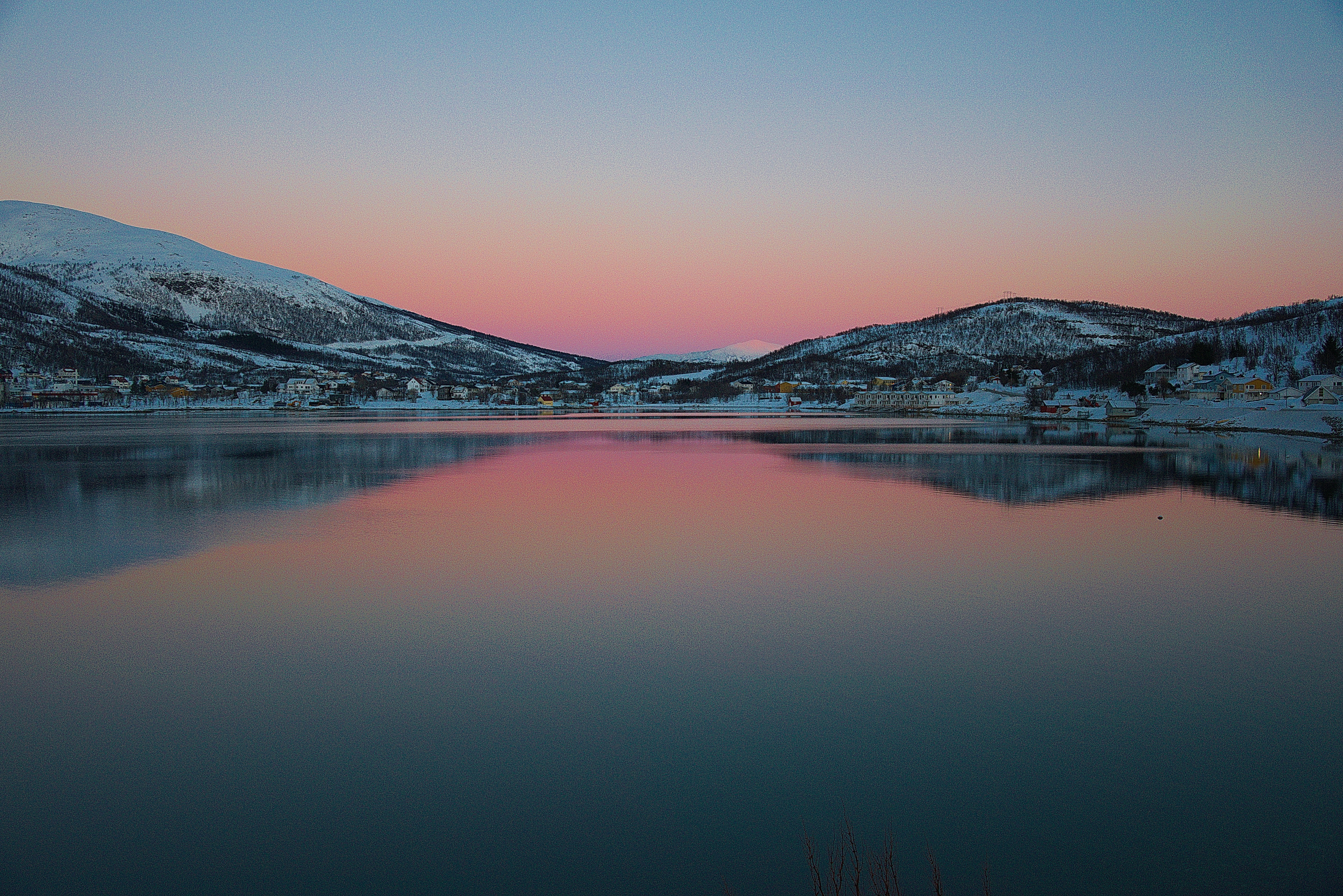 KIWI Token header image