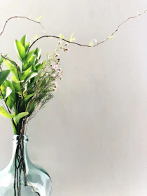Close-up of soft sage greenery intertwined with ivory spray roses in a minimalist vase.