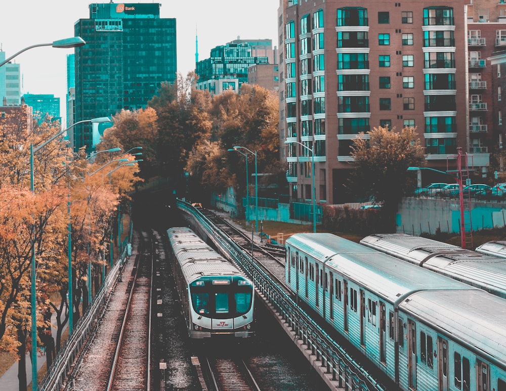 two gray train on rail