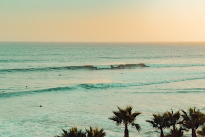 A serene beach scene with surfers riding gentle waves at sunrise.