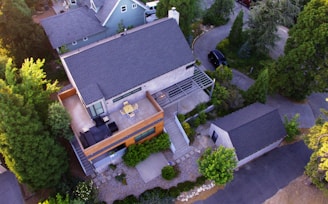 house surrounded by trees
