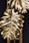 closeup photo of brown leaf near brown wooden frame