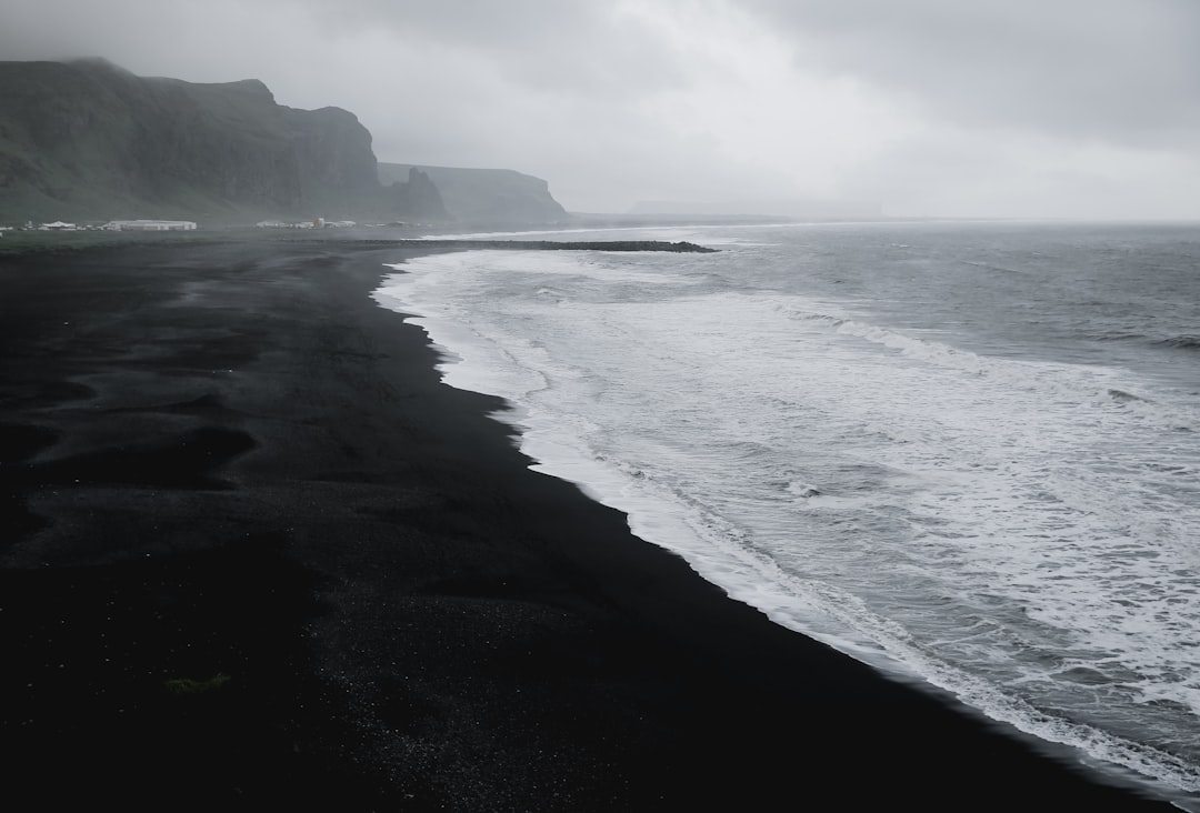 seashore in grayscale photo, Time Stands Still