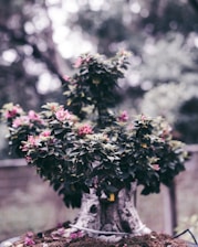 A vibrant classroom with bonsai trees and attentive learners.