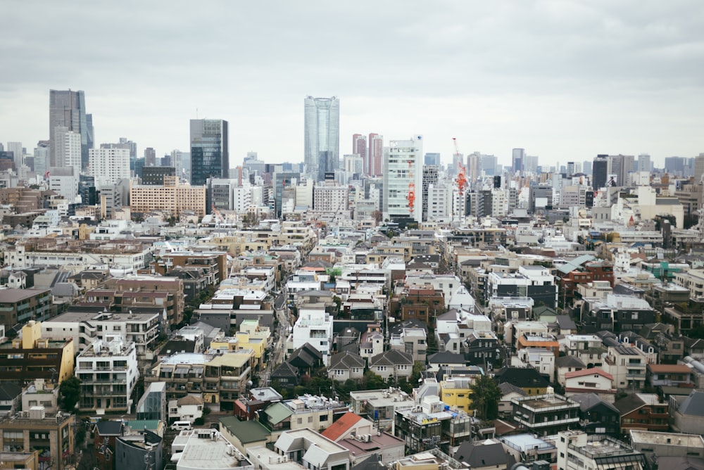 bird's eye-view photography of cityscape