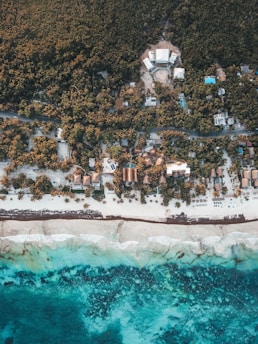 An aerial view captures a lush, green coastal area with dense forest transitioning into a small settlement by the seaside. The settlement consists of various buildings, some with thatched roofs, nestled among palm trees. Beyond the settlement, there is a sandy beach bordering the turquoise ocean, with visible waves lapping the shore.
