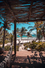 nipa hut under coconut palm trees