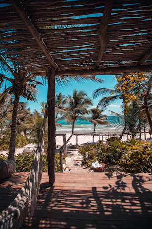 nipa hut under coconut palm trees