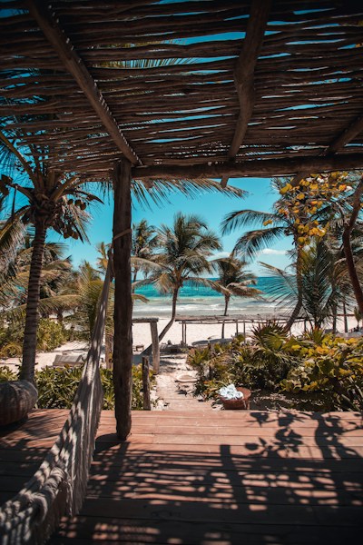 Meet The Sun-Soaked Edition: Cruises, Tropical Escapes and More