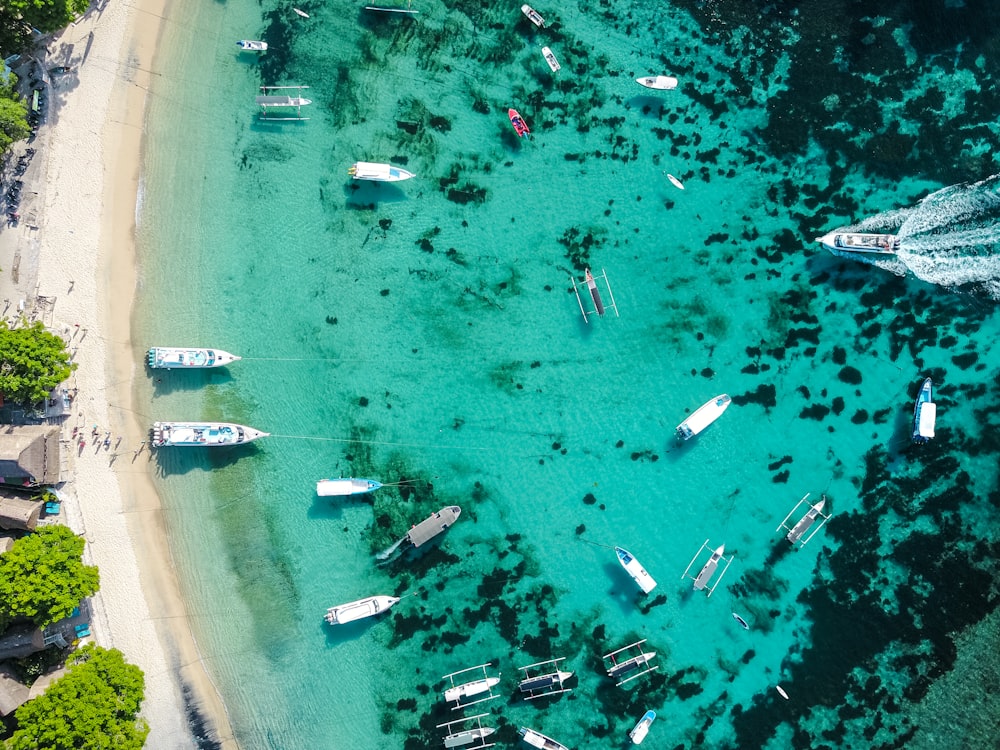 aerial view of shore