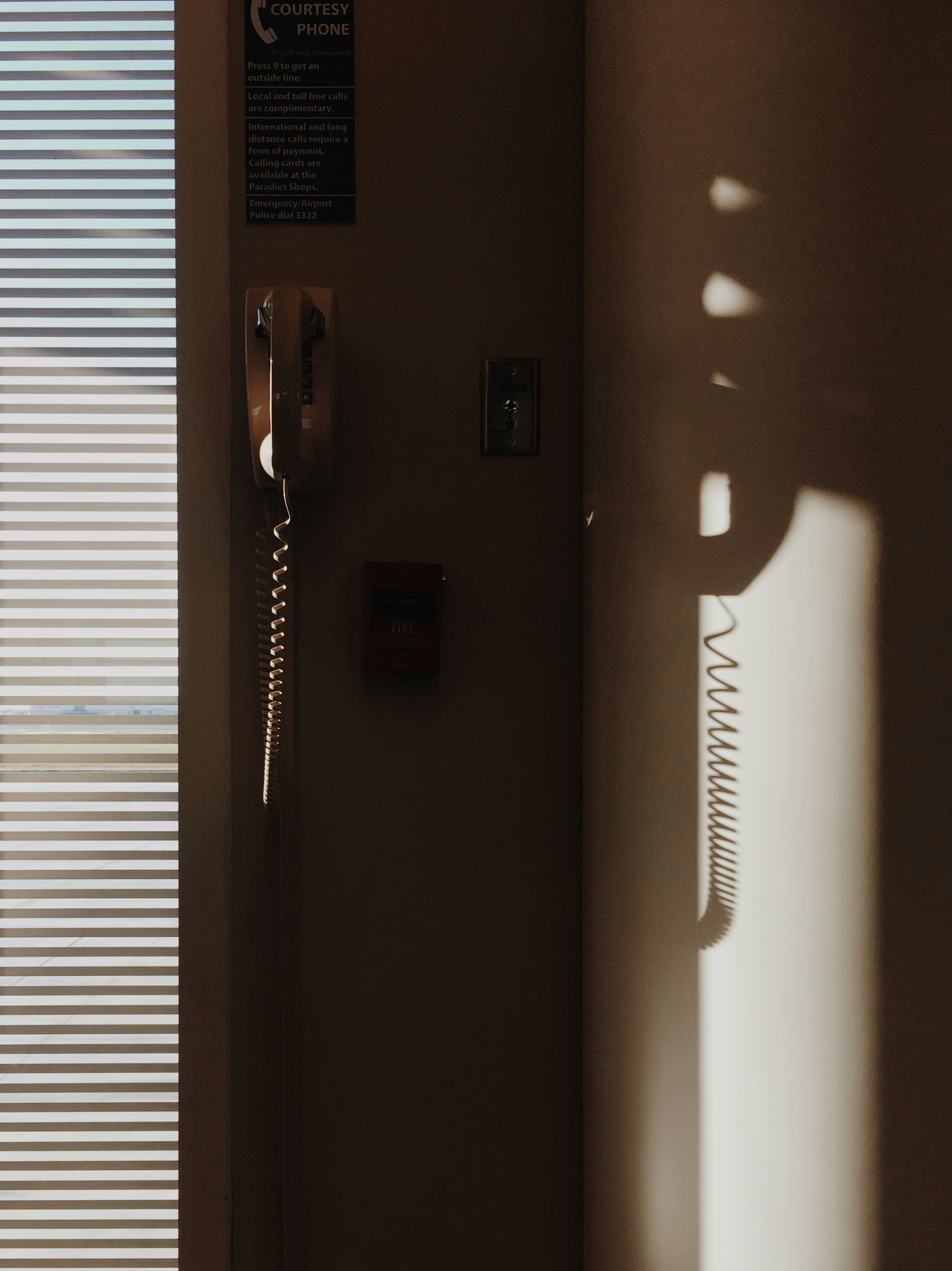 과거의 그림자, 미래의 속삭임: 시간 여행의 문이 열리다