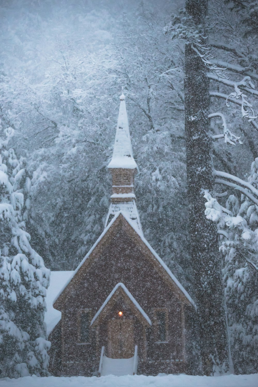 森の中にある雪をかぶった茶色の木造家屋