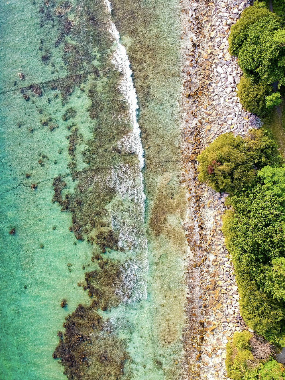 aerial view of seashore