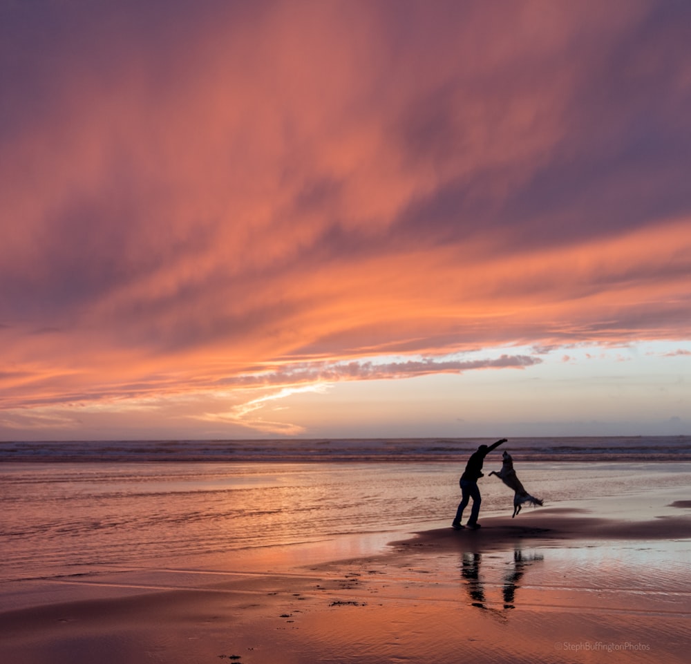 Silhouette eines Mannes und eines Golden Retrievers, die in Seashire spielen