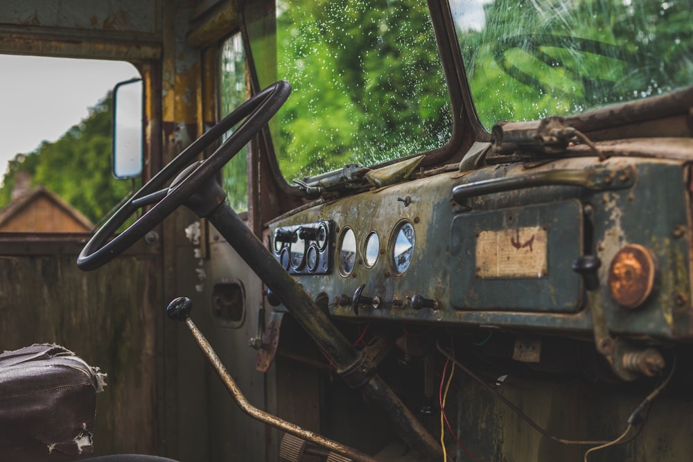 Auto in der Nähe von Baum