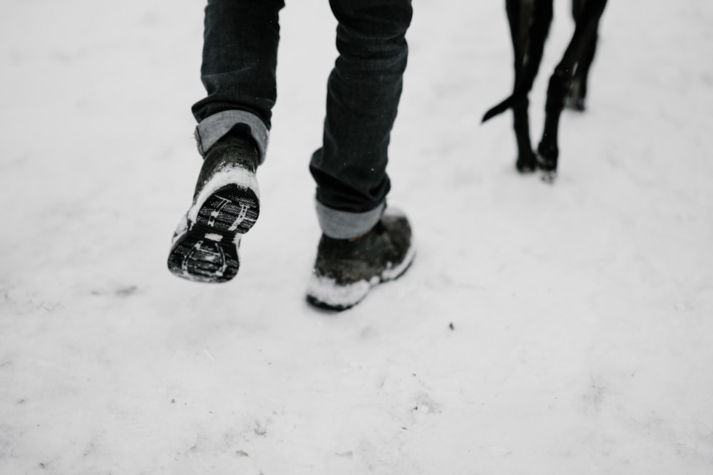 person walking with black dog on snow