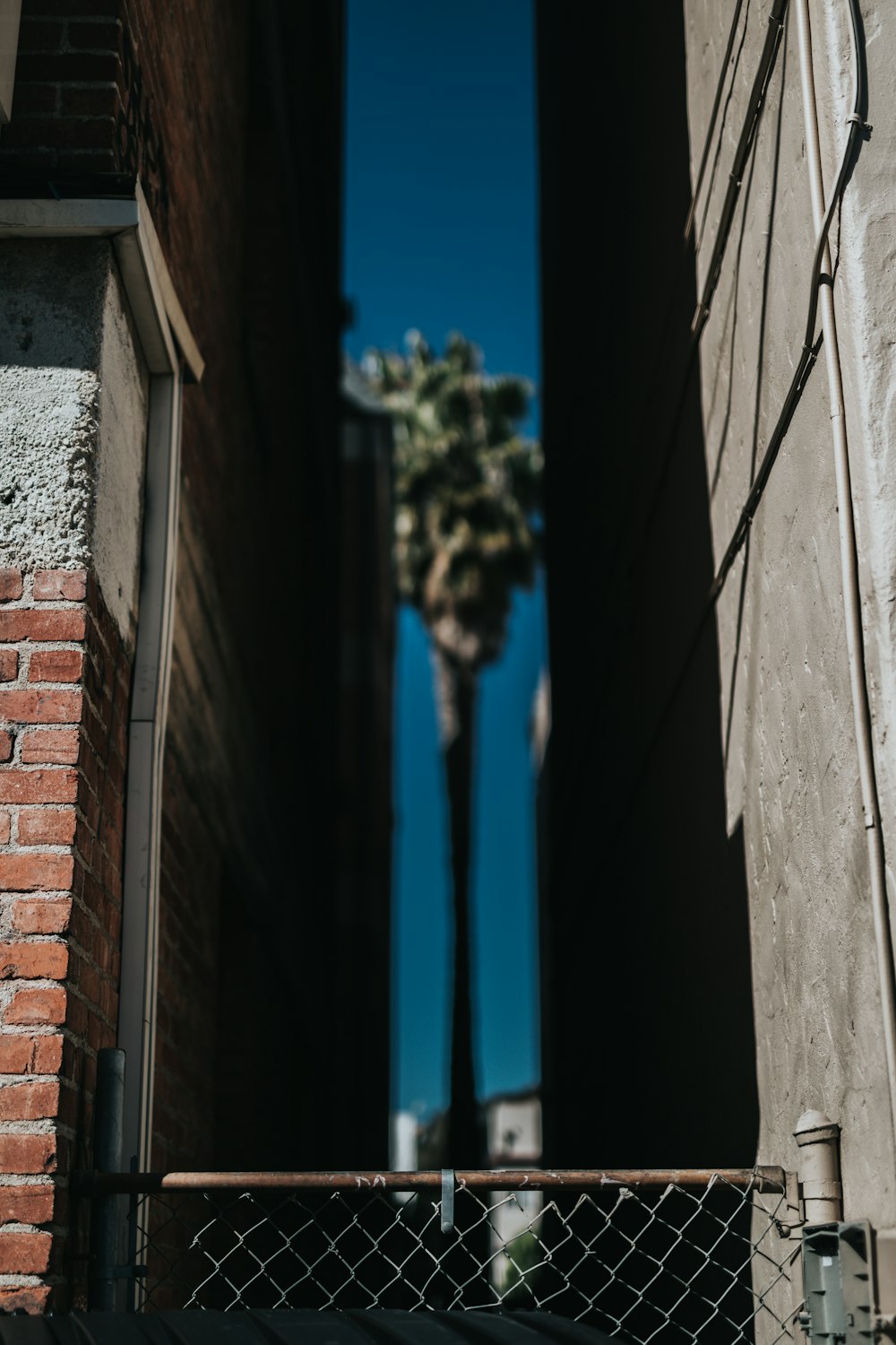 grey metal chain link fence between buildings