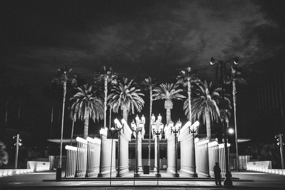 person standing infront palm tree